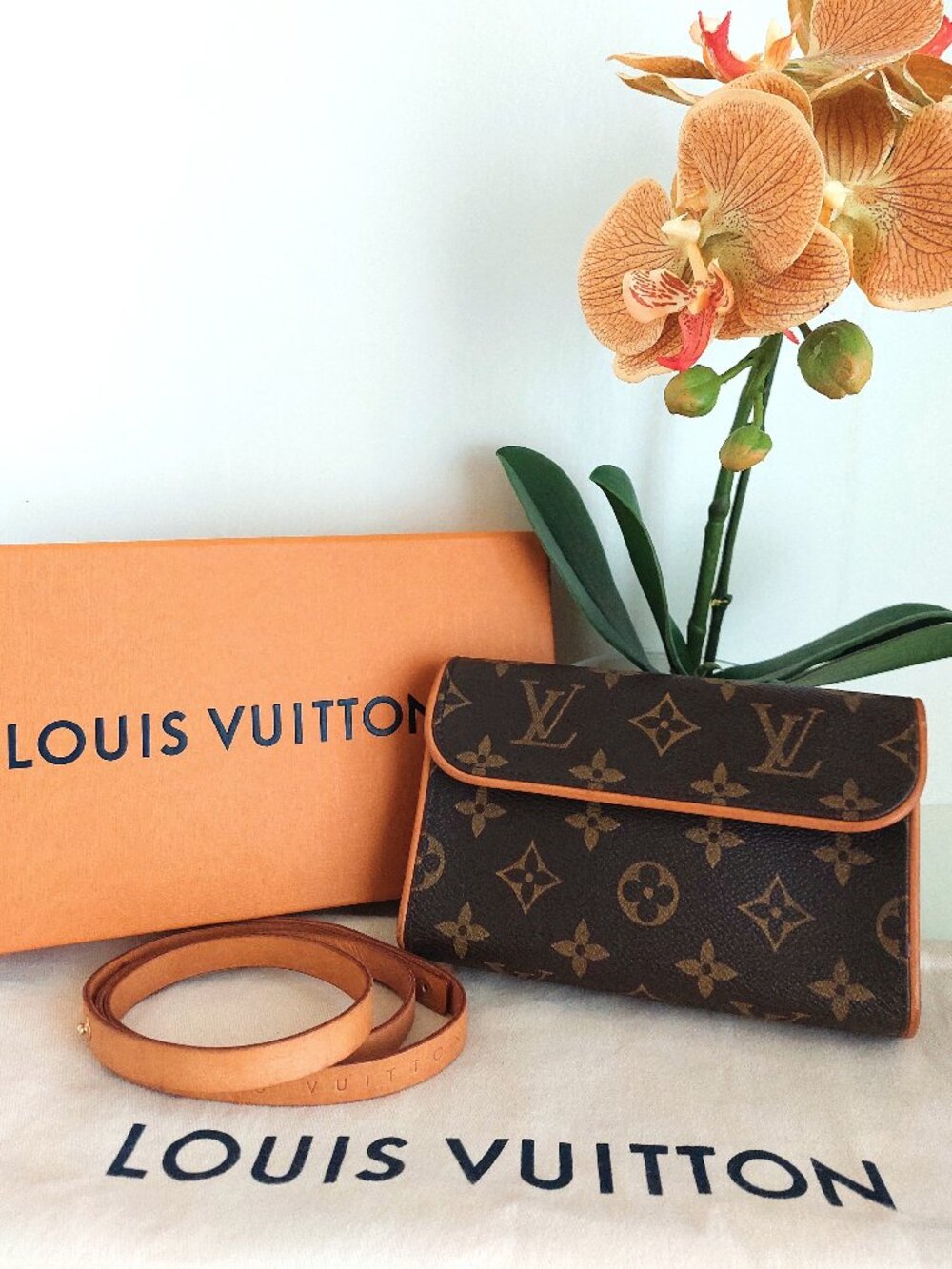 Louis Vuitton Pochette Florentine Monogram Canvas Belt Bag